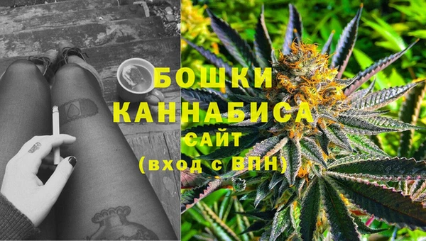 ПСИЛОЦИБИНОВЫЕ ГРИБЫ Куйбышев