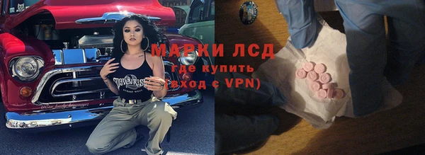 шишки Мурманск
