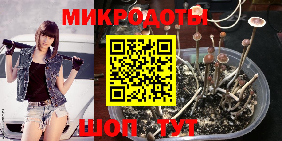 Лесной  Псилоцибиновые грибы мухоморы  Вход с VPN 
