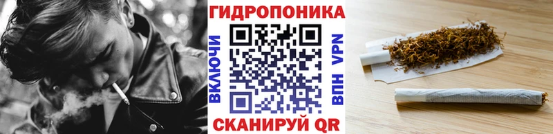 блэк спрут ссылки  Лесной  Бошки марихуана VHQ 