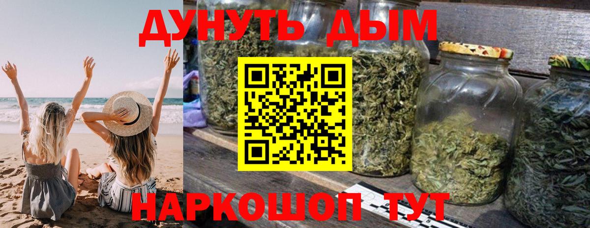 Каннабис планчик Лесной